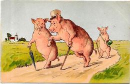 CPA Cochon Fantaisie Pig Position Humaine Non Circulé - Schweine