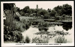RB 1199 - Real Photo Postcard Water Lilies Botanical Gardens Melbourne Victoria Australia - Melbourne