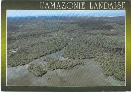 40 LES LANDES : " L'Amazonie Landaise " : Le Courant D'Huchet Termine Sa Course Dans Le Lac De LEON - Jolie CPM GF - Other & Unclassified