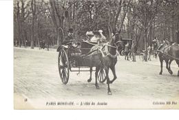 Paris Mondain L'allée Des Acacias - Autres & Non Classés