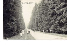 Forêt De Belleme Route De Mortagne Année 1923 - Other & Unclassified