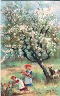 Th Apple Tree - Lot.1624 - Cultures