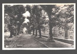 Domaine De Wégimont - L'allée Nord - Nels Bromurite - état Neuf - Soumagne