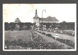 Domaine De Wégimont - Avenue Principale Conduisant Au Château - Nels Bromurite - Soumagne