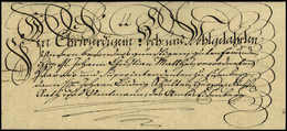 Beleg 1797, Eisenberg, Besonders Schöner Luxus-Schnörkelbrief Mit Dekorat. Trockensiegel. - Other & Unclassified