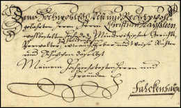 Beleg 1733, Falkenhayn, Schöner Kab.-Schnörkelbrief Nach Dorthin. - Autres & Non Classés