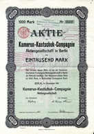 Beleg 1911, Kamerun-Kautschuk-Compagnie, Original-Aktie über 1000 Mark. Dazu Elf Erneuerungsscheine. Während Der Kolonia - Other & Unclassified