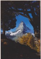 SUISSE,SVIZZERA,HELVETIA,VALAIS,VIEGE,ZERMATT,RIFFELALP MIT MATTERHORN,CERVIN - Viège