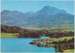SUISSE,SWITZERLAND,SWISS, HELVETIA,FRIBOURG,GRUYERES,GUMEFENS,CAMPING,PONT EN OGOZ,LAC GRUYERE - Fribourg