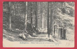 Auderghem - Sous Bois ... Près De La Source De L'Empereur - 1905 ( Voir Verso ) - Auderghem - Oudergem