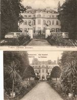 Tamise / Temse : Château Janssens --- 2 Cp - Temse