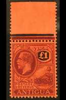 1921-29  £1 Purple And Black On Red, Watermark Multi Crown CA, SG 61, Superb Never Hinged Mint. For More Images, Please  - Altri & Non Classificati