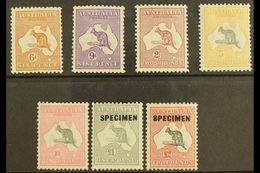 1931-36  Kangaroos Complete Set (£1 & £2 Values Overprinted "Specimen"), SG 132/36 & 137s/38s, Fine Mint, Very Fresh. (7 - Other & Unclassified