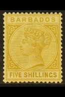 1882-86  5s Bistre, SG 103, Mint With Good Colour, Light Toning. For More Images, Please Visit Http://www.sandafayre.com - Barbados (...-1966)