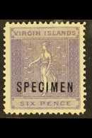 1887-89  6d Dull Violet With "SPECIMEN" Overprint, SG 38s, Fine Mint, Lovely Fresh Colour. For More Images, Please Visit - British Virgin Islands