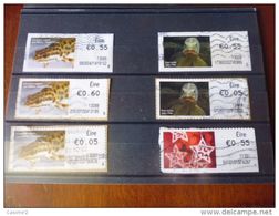 IRLANDE TIMBRES DISTRIBUTEURS - Affrancature Meccaniche/Frama