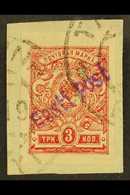 TALLINN (REVAL)  1919 3k Red Imperf With "Eesti Post" Local Overprint (Michel 3 B, SG 4s), Very Fine Used On On Piece. F - Estonia