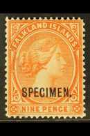 1891 - 1902  9d Salmon, SG 36, Overprinted "Specimen", Very Fine Mint. For More Images, Please Visit Http://www.sandafay - Falkland