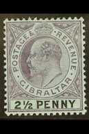 1903  2½d Dull Purple And Black On Blue With Large "2" In "½" Variety, SG 49a, Mint, Tiny Hinge Thin. For More Images, P - Gibilterra