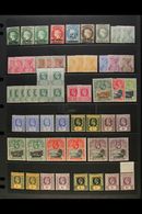 1884-1968 MINT ACCUMULATION  Presented On Stock Pages. A Useful Selection That Includes QV 1890-97 Set, KEVII Ranges To  - Isola Di Sant'Elena