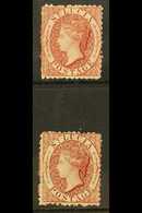 1863  1d Lake & 1d Brownish Lake, Both With Reversed Watermarks, SG 5ax, SG 5bx, Mint (2 Stamps) For More Images, Please - St.Lucia (...-1978)