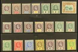 1902-10 MINT KEVII SELECTION  A Fine Mint, Attractive Selection On A Stock Card. Includes 1902-03 Set Plus An Additional - St.Lucia (...-1978)