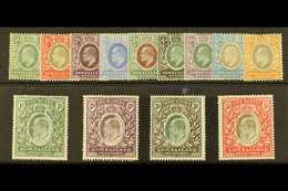1904  KEVII Complete Set, SG 32/44, Mint, The 1R And 2R With Small Thins, Otherwise Fine And Fresh. (13 Stamps) For More - Somaliland (Protettorato ...-1959)