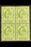 CAPE OF GOOD HOPE  1902-04 4d Olive Green, SG 75, Never Hinged Mint Block Of Four, The Upper Pair With Light Bend For Mo - Unclassified