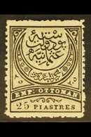 1884-86  25pi Black And Grey-olive Perf 13½ (Michel 50 A, SG 100), Fine Mint, Fresh. For More Images, Please Visit Http: - Altri & Non Classificati
