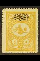 1901  5pi Yellow-buff Foreign Mail With Printed Matter Overprint (Michel 113 A, SG N194), Fresh Mint, Some Shortish Perf - Altri & Non Classificati