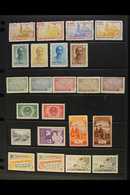 NORTH  1954-1962 Attractive Mint & Never Hinged Mint Collection Of Complete Sets Presented On A Trio Of Stock Pages. Lov - Vietnam