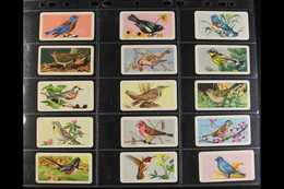 BROOKE BOND CANADA SETS  1959-73 All Different Collection Of Complete Sets Of 48, With 1959 Songbirds, 1961 Wild Flowers - Other & Unclassified