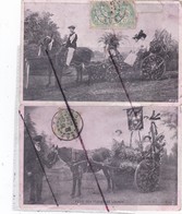 Fête Des Fleurs De LUCHON (31)Fête Enfantine Lucon 1903.(Lot De 2 Cartes) - Luchon