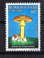 BURKINA FASO CHAMPIGNONS, CHAMPIGNON, MUSHROOM, Setas YVERT N° 824. MNH, Neuf Sans Charniere - Funghi