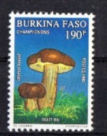 BURKINA FASO CHAMPIGNONS, CHAMPIGNON, MUSHROOM, Setas YVERT N° 825. MNH, Neuf Sans Charniere - Pilze