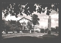 Werl I. W. - Bahnhofsvorplatz Mit Ehrenmal - Agfa Originalfoto - Werl