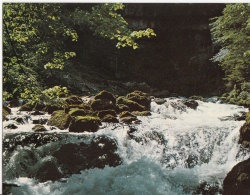 Delcampe - Vallorbe - Source De L'Orbe - Orbe