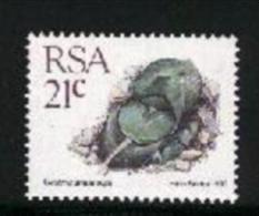 REPUBLIC OF SOUTH AFRICA, 1990, MNH Stamp(s) Succulent 21 Cent, Nr(s.) 794 - Nuevos