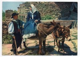 CORSE-La Corse, Oasis De Beauté,un Sourire Pour Le Galant (animée,âne Et Anon)-griffe PARIS 05 Tp Type Marianne Béquet - Corse