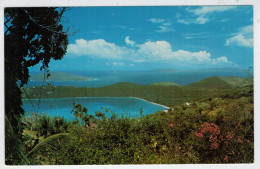 C.P.  PICCOLA     ST.  THOMAS, U.S.  VIRGIN  ISLAND         2 SCAN  (NUOVA) - Virgin Islands, US