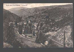 Bad Wildungen - Helenental - 1912 - Bad Wildungen