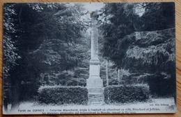 62 : Forêt De Guines - Colonne Blanchard érigée à L'endroit Où Atterrirent En 1785 ... Les 1ers Aéronautes ... (n°10130) - Guines