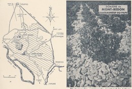 CPSM 84 CHATEAUNEUF DU PAPE  DOMAINE MONT-REDON  PLAN - Chateauneuf Du Pape