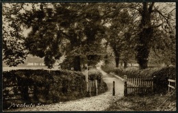 RB 1200 -  Early Postcard - Preshute Lane - Marlborough Wiltshire - Altri & Non Classificati