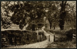 RB 1200 -  Early Postcard - Preshute Lane - Marlborough Wiltshire - Other & Unclassified