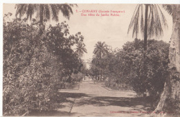 Guinée Française - Conakry  - Une Allée Du Jardin Public  : Achat Immédiat - French Guinea