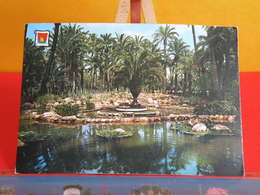 Delcampe - Carte Postale > Espagne > Comunidad Valenciana > Alicante - Elche, Huerto Del Cura > Non Circulé - Alicante