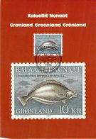 GROENLAND CARTE MAXIMUM  NUM.YVERT 150 FAUNE POISSON - Cartoline Maximum