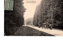 Cpa Forêt De Bellême Route De Mortagne - Autres & Non Classés