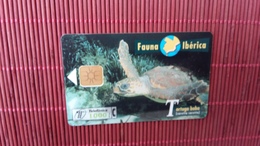 Phonecard Turtle  Used - Tortugas